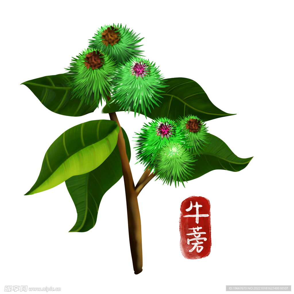 中药
