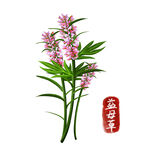 中药