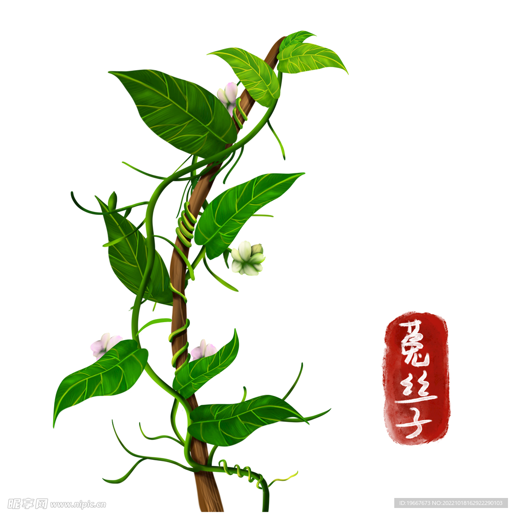 中药