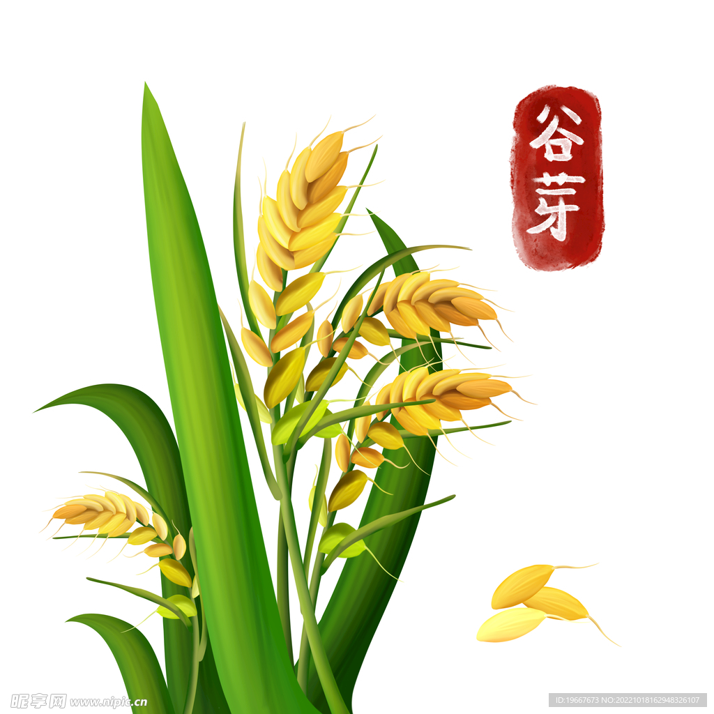 中药