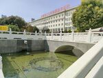 新华医院