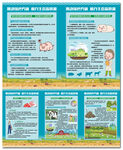 绿色养殖促进畜牧业健康发展海报