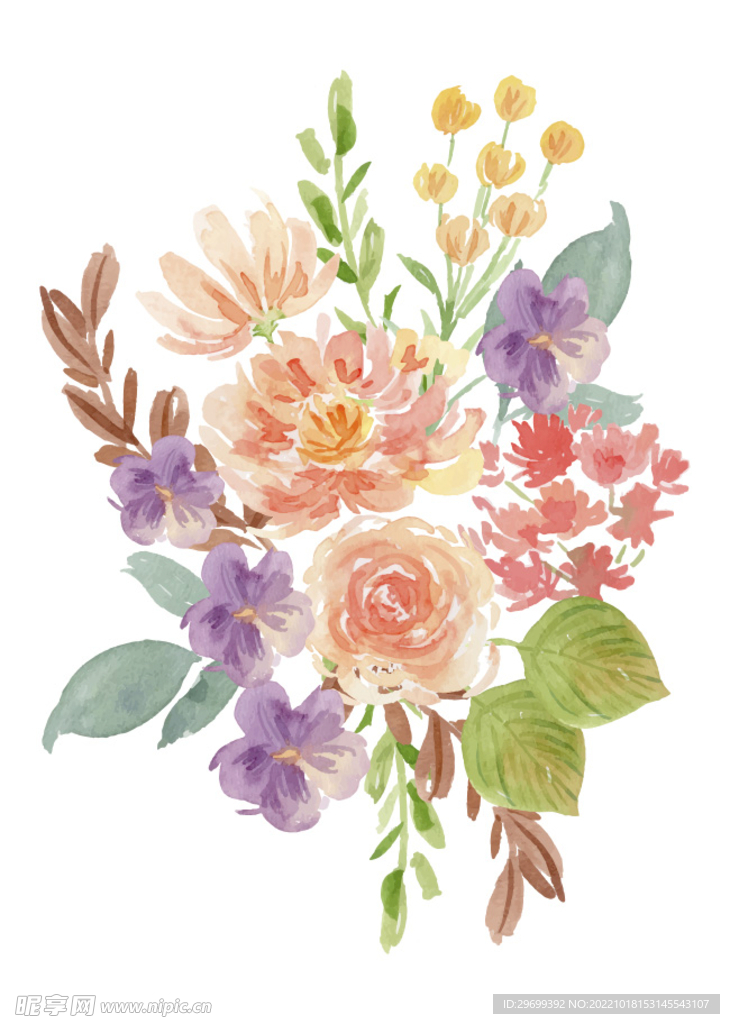 手绘花卉