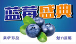 蓝莓