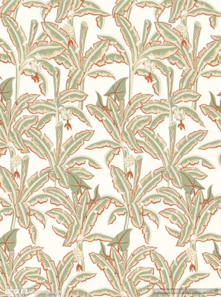 大牌 热带植物 叶子