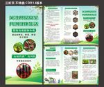 食品安全