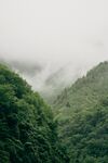 山林