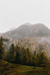 山