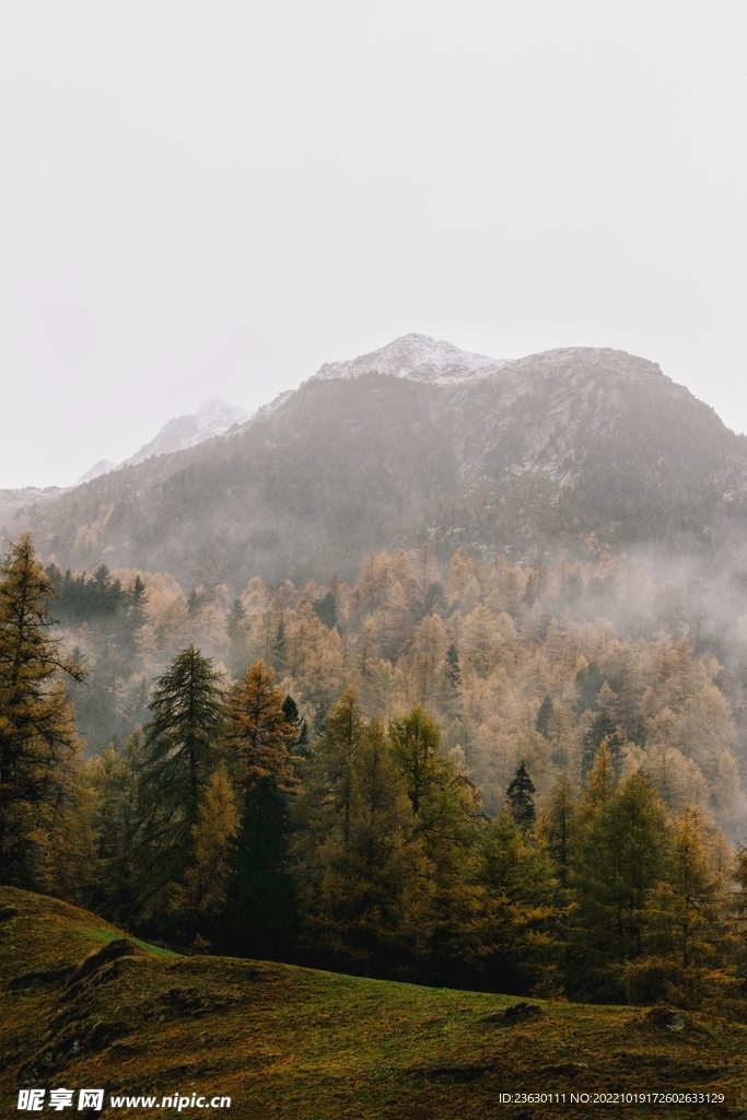 山