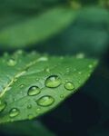 水珠
