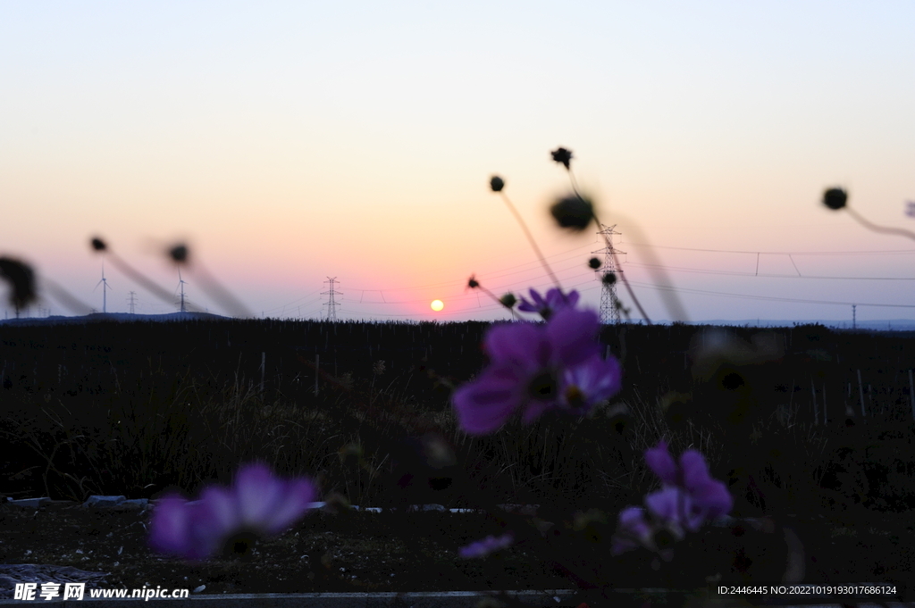 夕阳