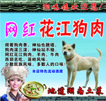 网红花江狗肉
