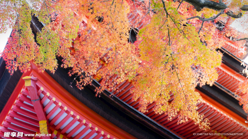 严岛神殿 