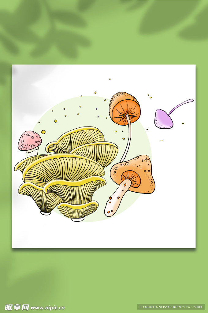 春天各种蘑菇手绘装饰素材