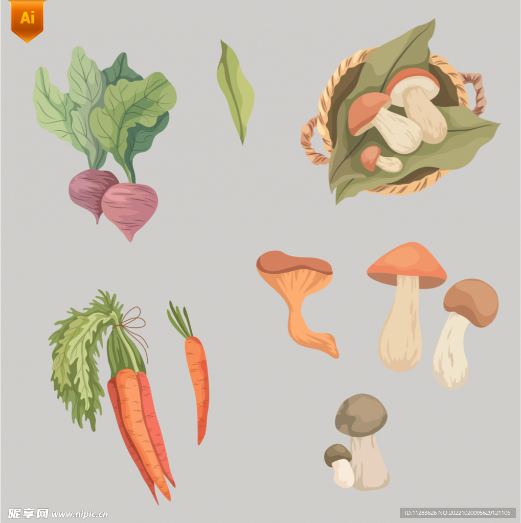蘑菇萝卜蔬菜插画