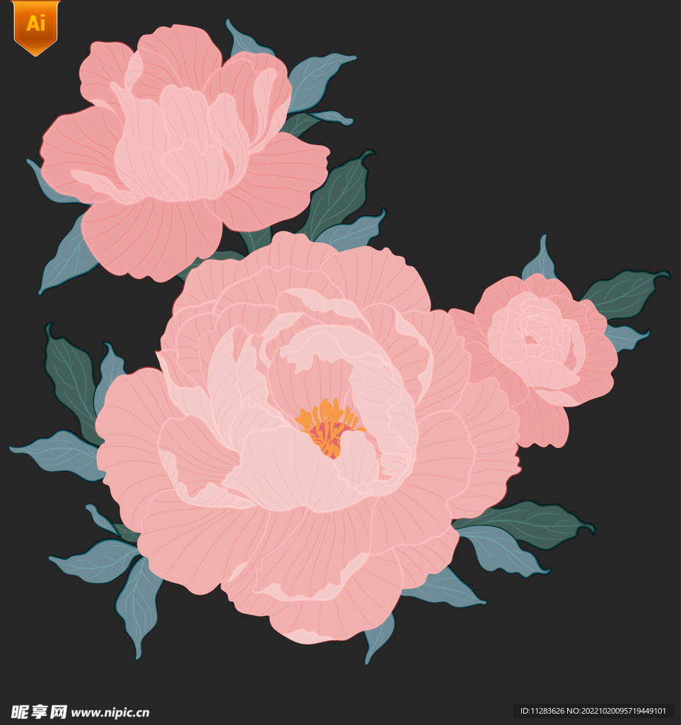 鲜花牡丹手绘插画