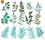 植物叶片树枝矢量素材