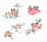 花纹花朵