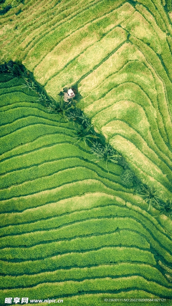 梯田
