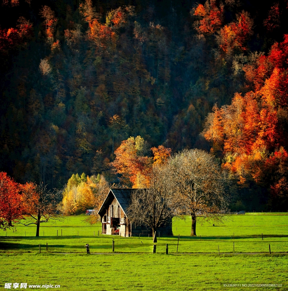 风景