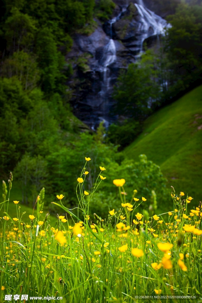 风景
