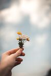 手拿鲜花