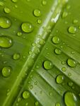 水珠