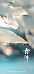 房地产霜降海报