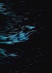 流星