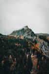 山