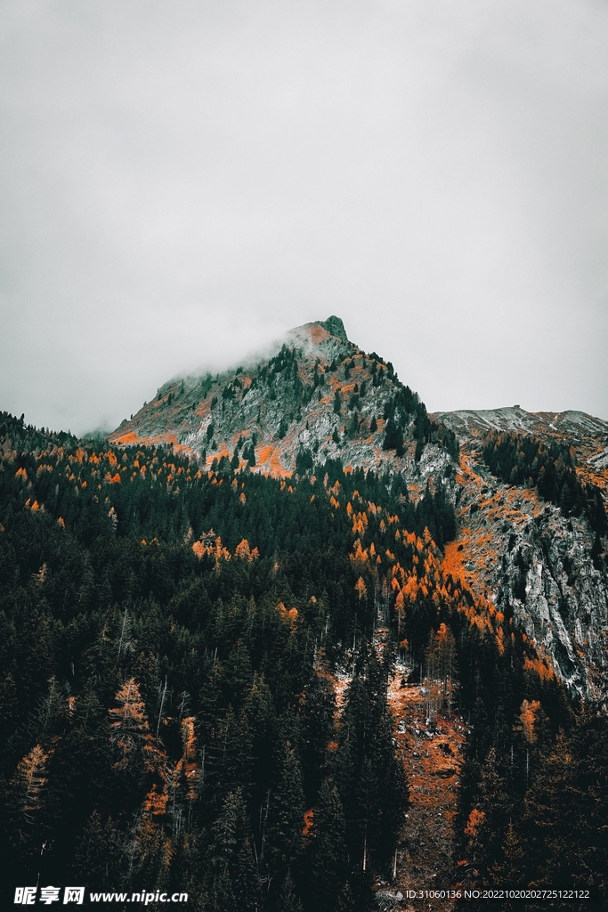 山