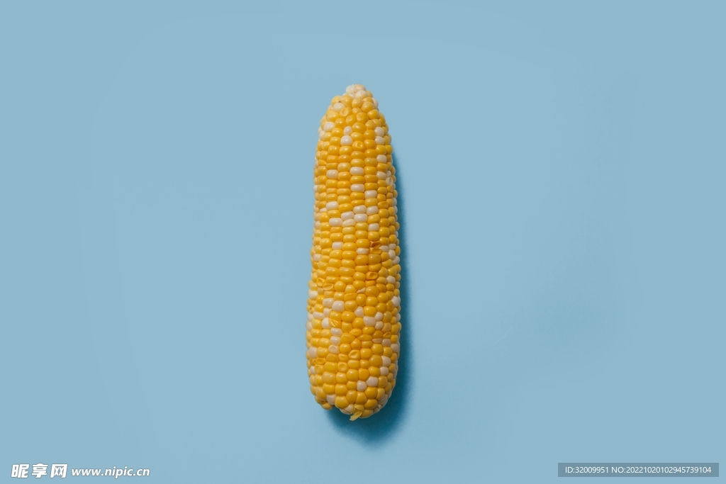 玉米             