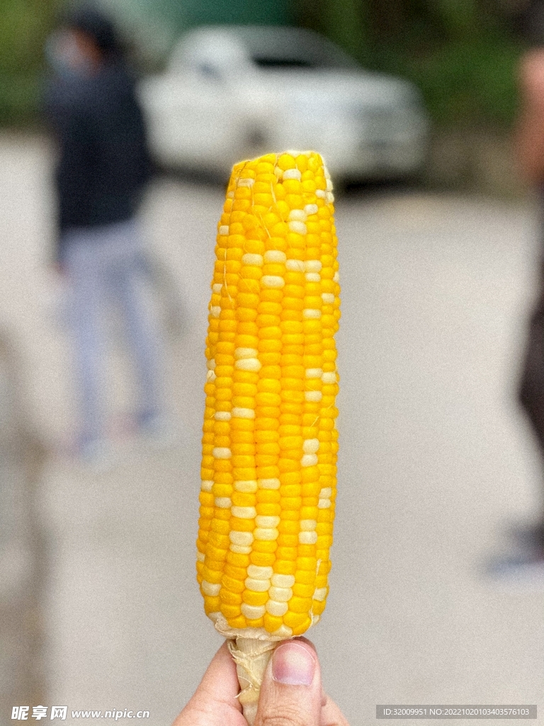 玉米             