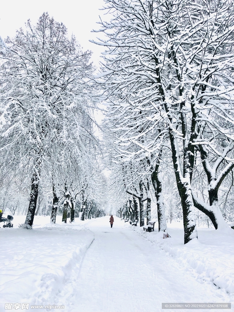 雪中小路