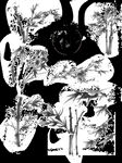 竹子 