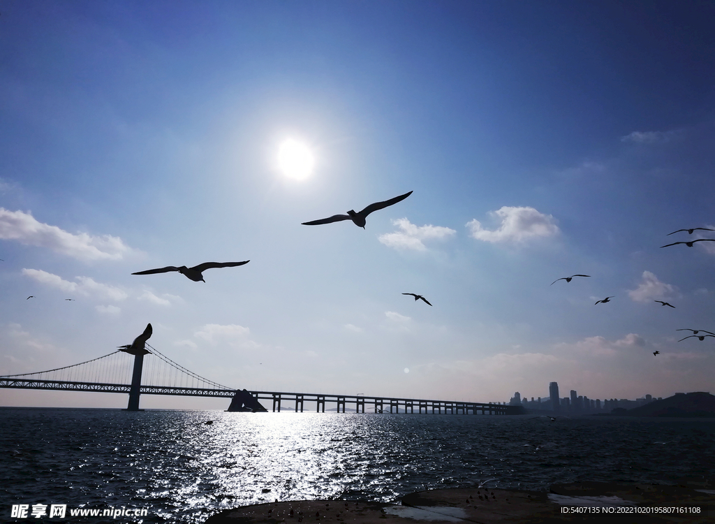 阳光 沙滩 海浪 海鸥 大桥