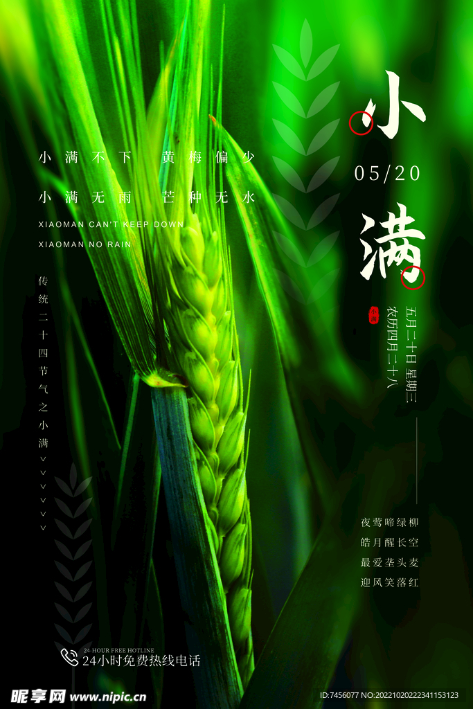 二十四节气小满宣传海报模板