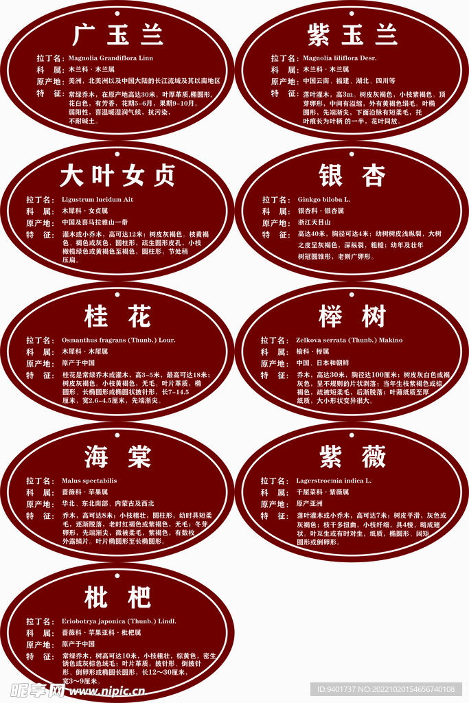 树木名称牌