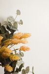 鲜花装饰