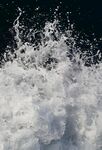 水