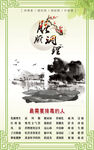 脏腑调理