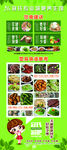 饮食建议塑身食谱参考