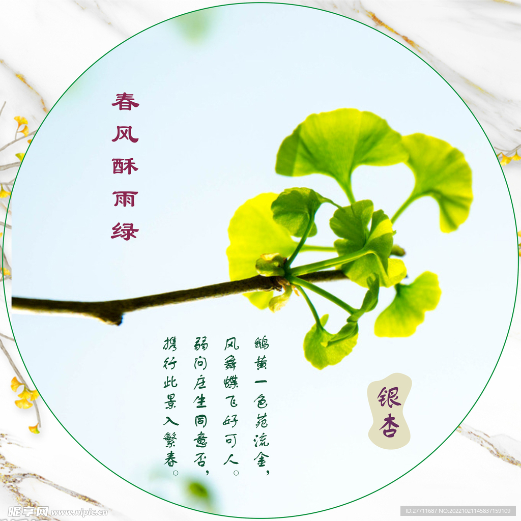 银杏