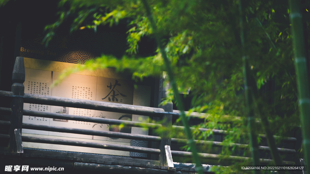 茶室竹林