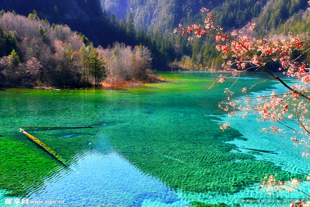 湖水湖面