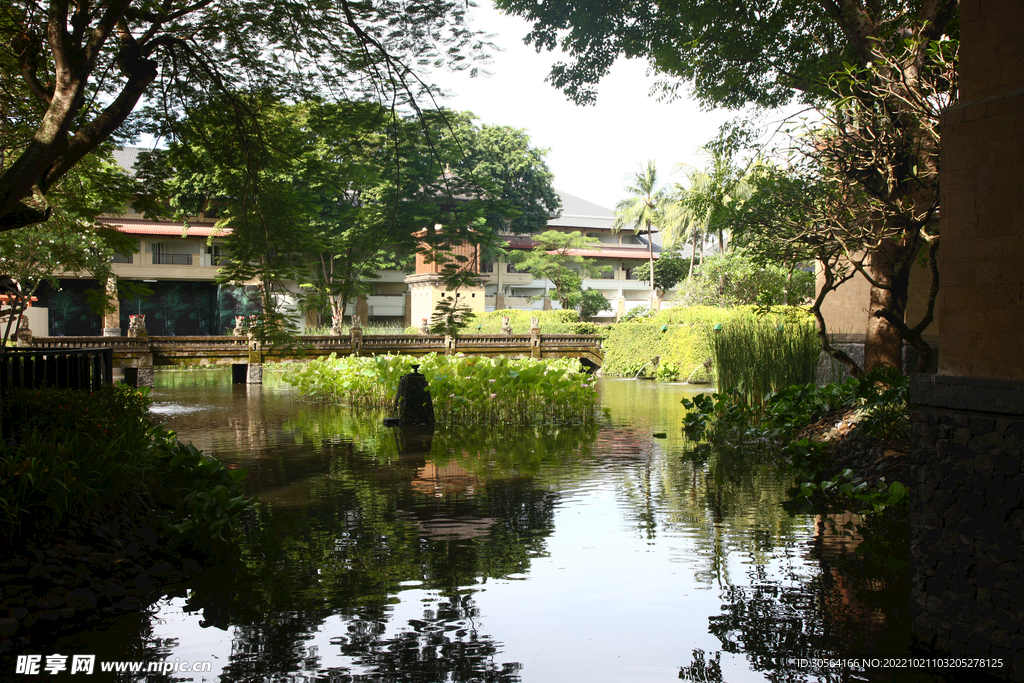 公园湖面