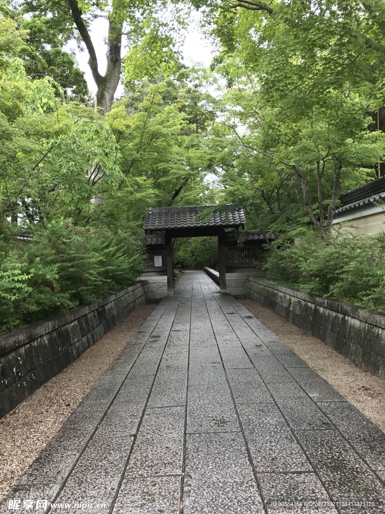 复古道路