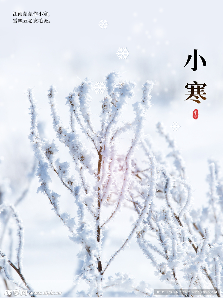 小寒节气冬季简约海报