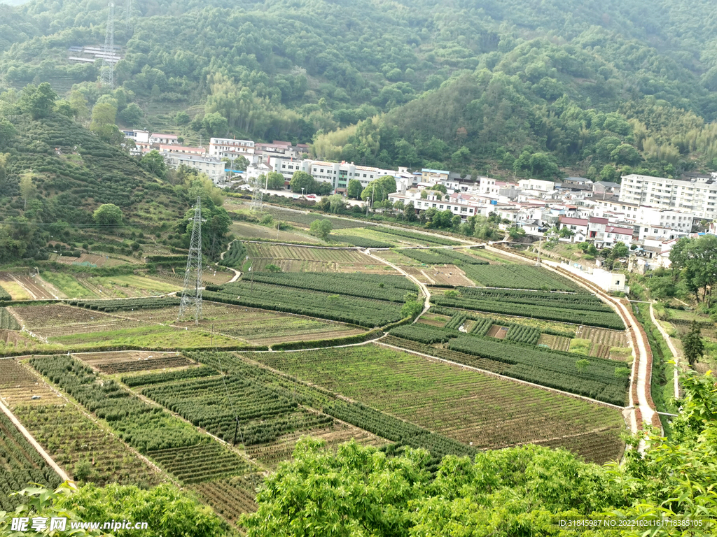 田园风光