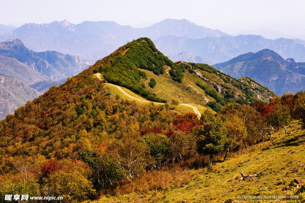 山顶小路之秋